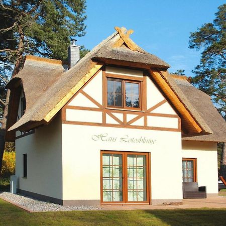 Holiday Home Lotusbluete, Zirchow 外观 照片