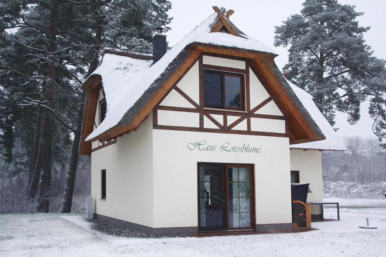 Holiday Home Lotusbluete, Zirchow 外观 照片